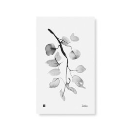 Teemu Jarvi｜Plants Poster & Art Card（プランツポスター & アートカード）