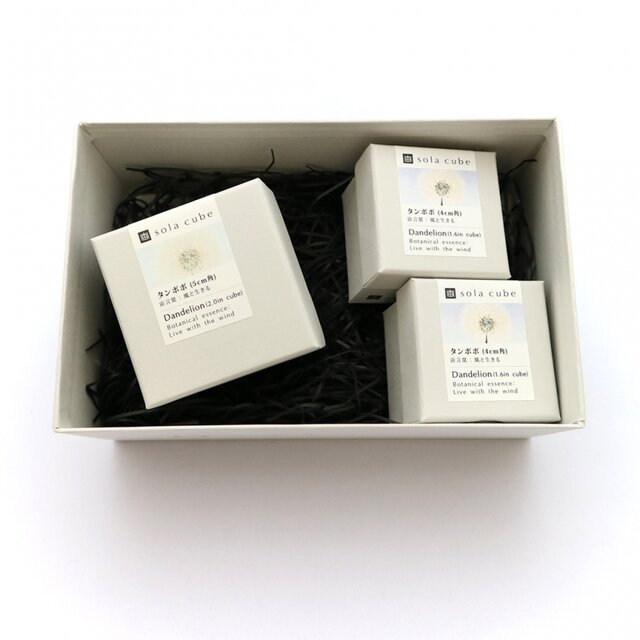 ■Sola cube 5cm角1つ、4cm角2つ