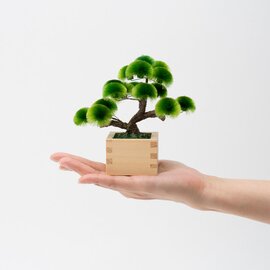 Floyd|盆栽小鉢♯C / Floydセレクト