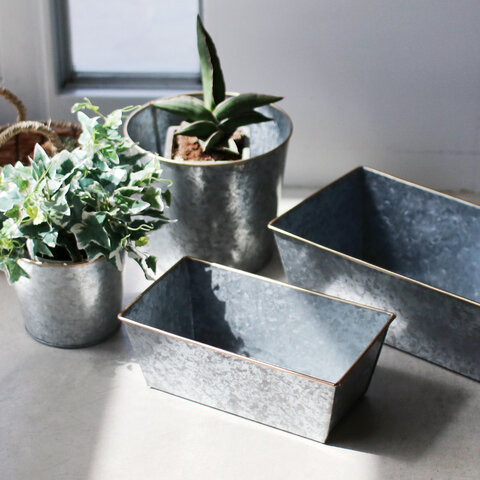 HERE|Galvanized Plant Cover