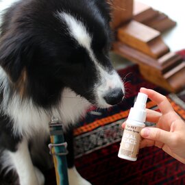 ORALPEACE｜Oralcare Spray for PET