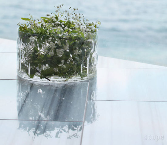 iittala | Flora スコープ別注