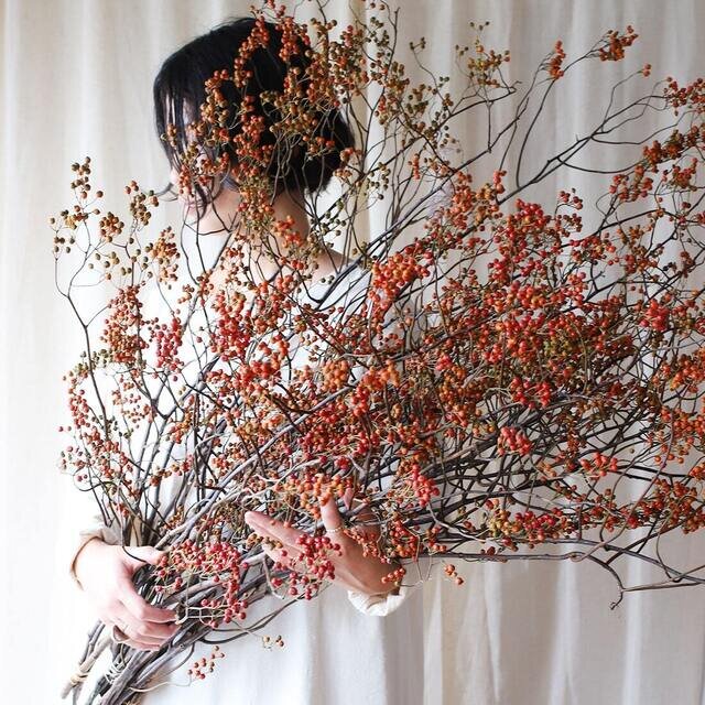 野ばら実付き枝とツルウメモドキのセット　生け花　アレンジメント　ドライフラワー