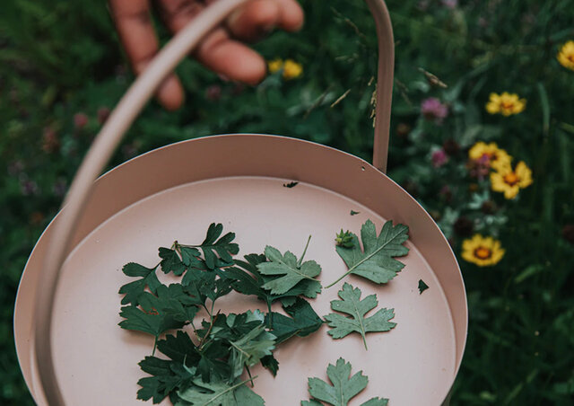 WHOLEのコレクションは、それぞれが世界にひとつのアートピースのような一枚です。
ただ製品が美しいだけでなく、そこには鮮やかな未来を願う意思が宿っているようにも。使うほどにゆっくりと風合いが変化し、美しく経年変化するテキスタイルをお届けします。