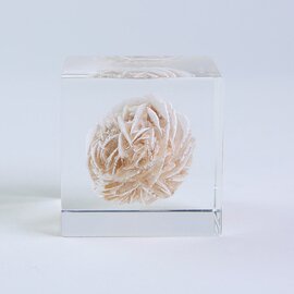ウサギノネドコ｜Sola cube Mineral 砂漠の薔薇（5cm角）