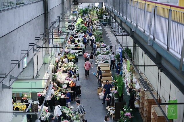 イクスが花を仕入れている東京の大田市場は、オランダのフローラ・ホランド花市場、アールスメール花市場に継いで世界3位の規模を誇り、実に多種多様な花と出逢えます。