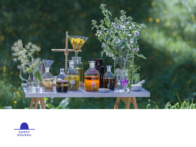 植物の持つ限りない力を借りてものづくりを行う、北海道のボタニカルスキンケアブランド「SORRY KOUBOU」