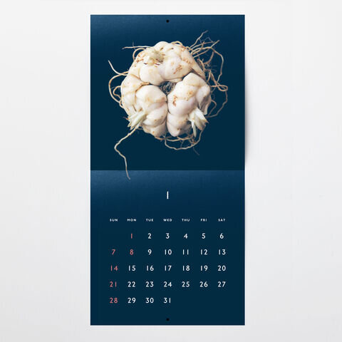 S/S/A/W｜S/S/A/W お野菜カレンダー2024
