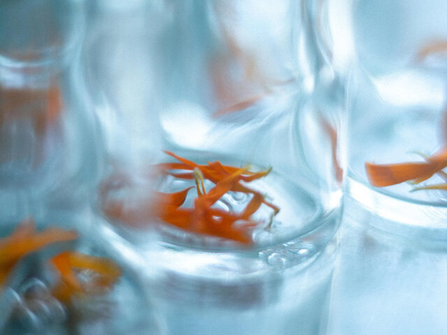 肌にも、心にもやさしい製品。
植物が持つ力をできるだけそのままお届けしたいという想いで、人の手で丁寧につくられています。