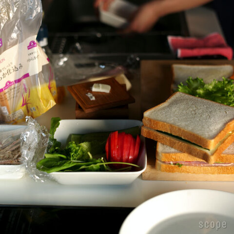 iittala | Teema スクエアプレート ・ プラターロング、ワイド