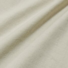 ashuhari｜FOOD TEXTILE Regular Collar Tuck Shirt (フードテキスタイル レギュラーカラータックシャツ)