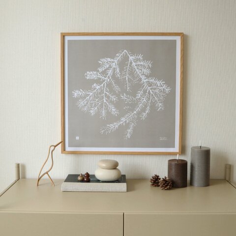 Teemu Jarvi|【新色追加】Spruce Branch ポスター 50×50 【クリスマス】