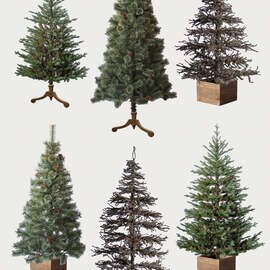 ANTRY|クリスマスツリー基本の3点セット(選べるツリー・カバー・ライト)