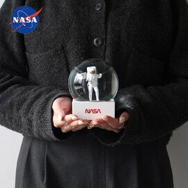 DETAIL|机の上に着陸? DETAIL NASA Snow Globe スノードーム