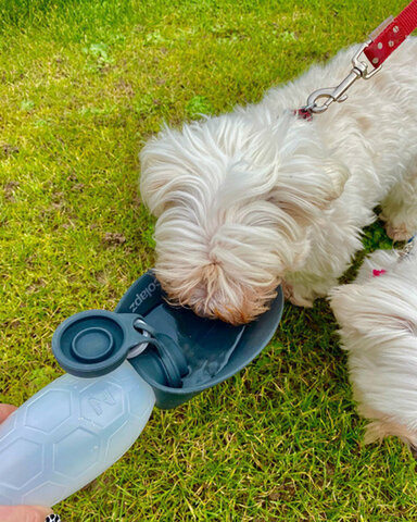 COLAPZ｜Portable Dog Water Bottle & Poop Bag Holder ペット ウォーターボトル