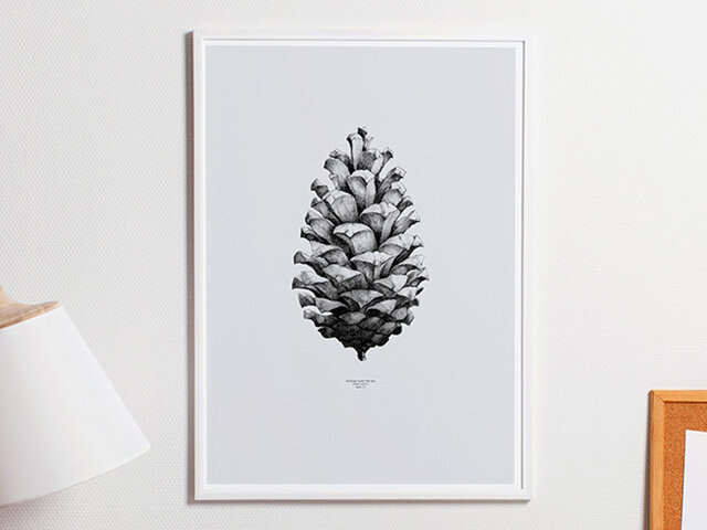 Paper Collective｜ポスター Pine Cone