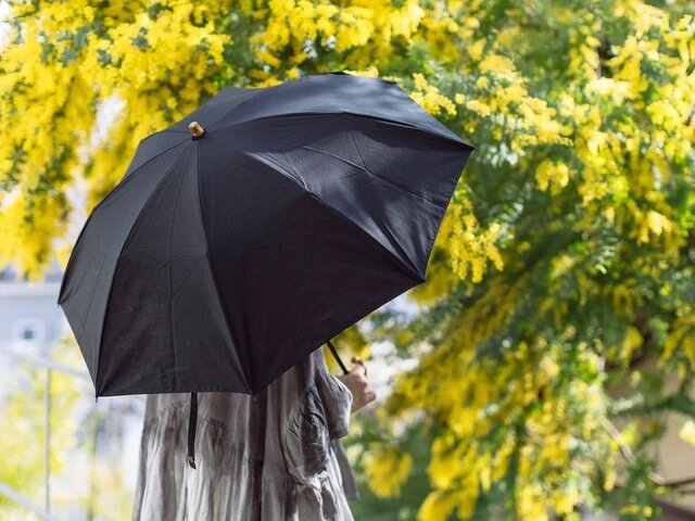 CINQ｜晴雨兼用傘／折りたたみ傘【母の日】