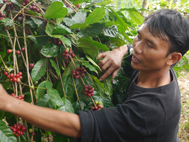現地でコーヒー農家をまとめるパック＝スラマット