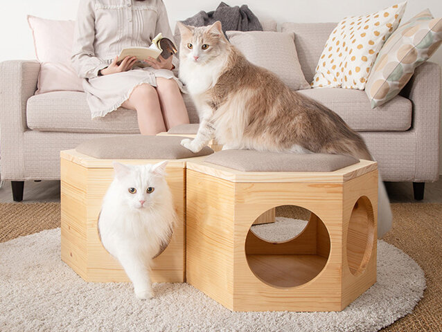 MYZOO｜Busy Cat Chair Plate