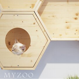 MYZOO｜Busy Cat Cover Plate