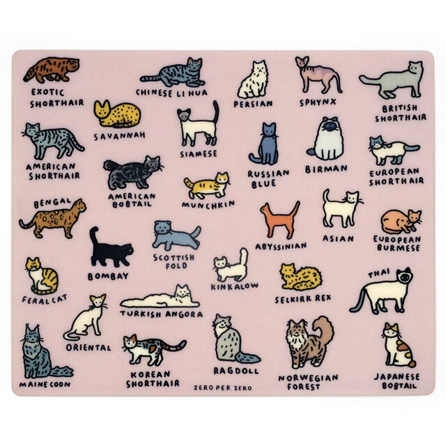 CAT (DICTIONARY)