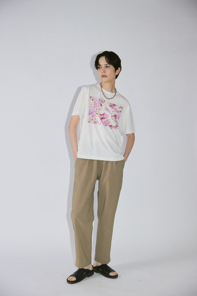 ピンク モデル身長173cm