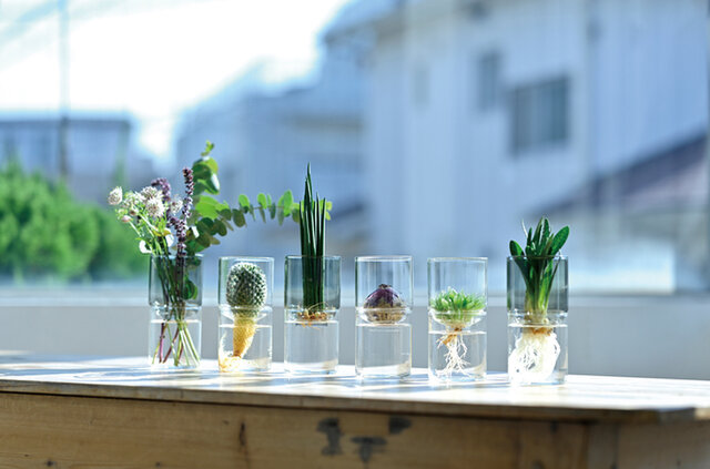 HARIO｜「ガラスのある生活」　ガラスの花器