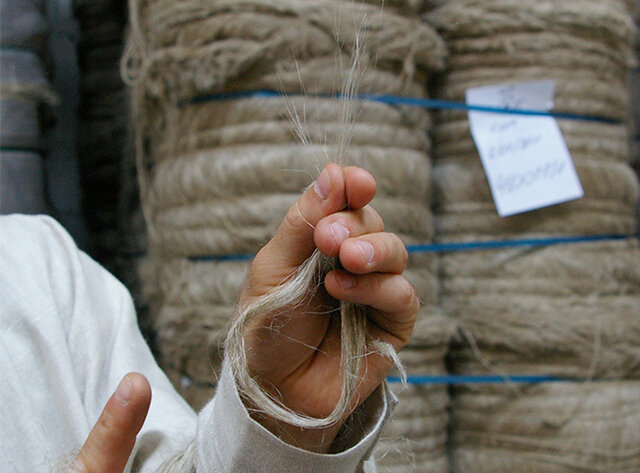 サフィラン社のリネン糸。EUの厳しい基準をクリアした「Masters of Linen」の認定を受けている。
