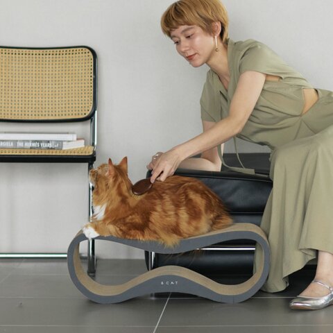 &CAT|研ぐ、くつろぐ、遊ぶ。1台で叶える、猫の理想の爪とぎ【TOG Arc】